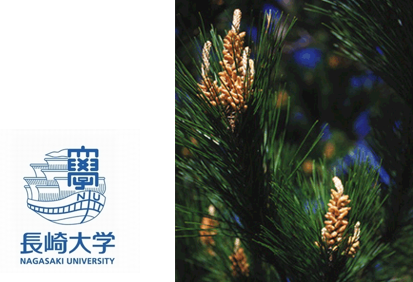 長崎大学松の木