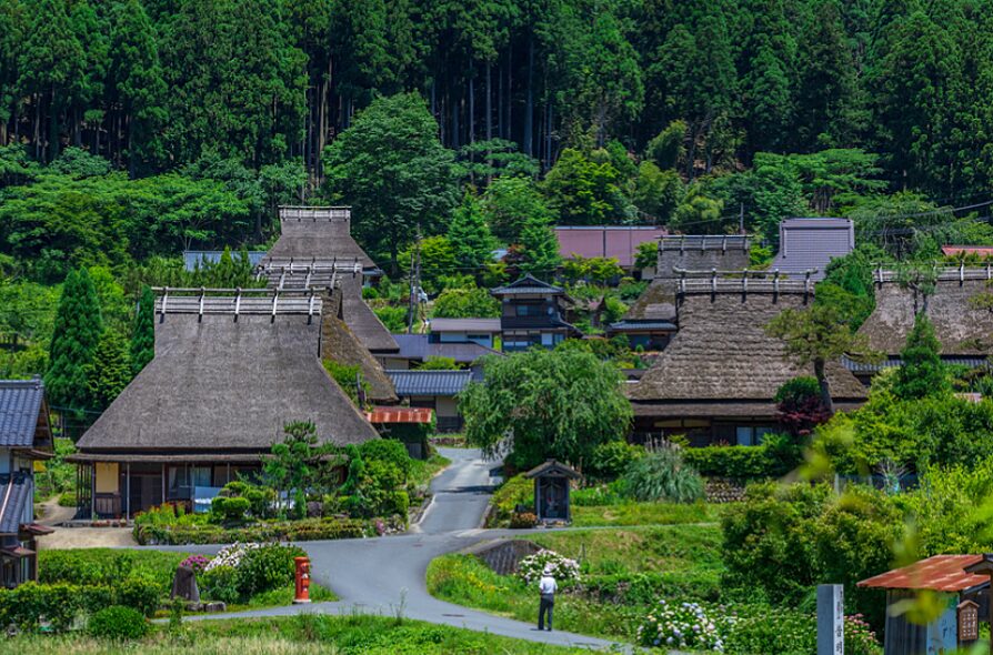 食材オタク加速でボランティア活動始まる
