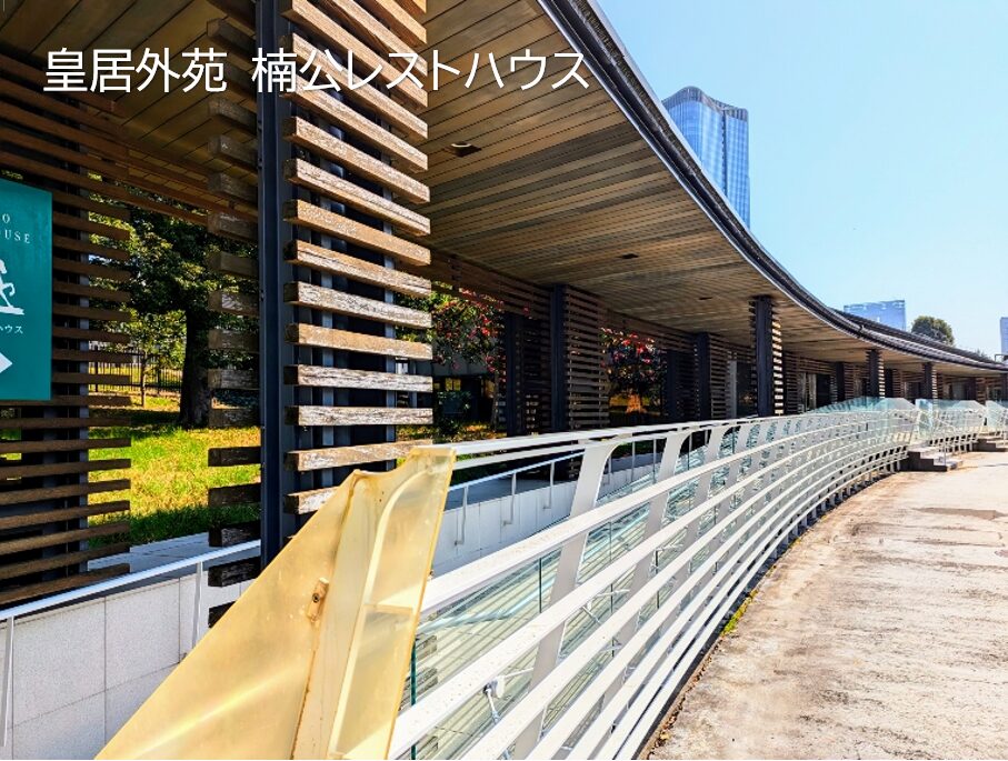 皇居外苑にて食事(腸活)イベント